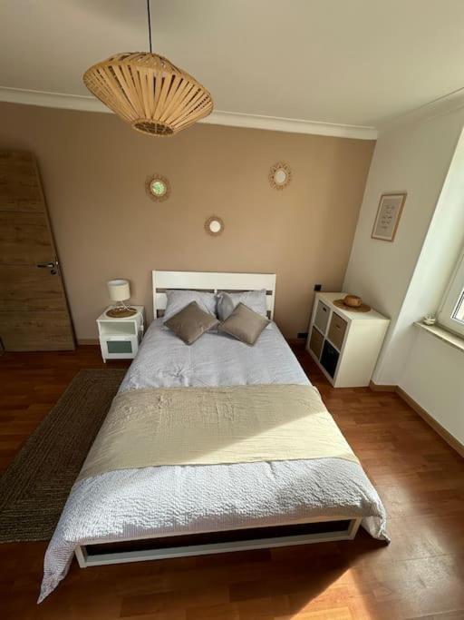 Magnifique Appartement F3. 4 A 6 Personnes Lutterbach Eksteriør billede