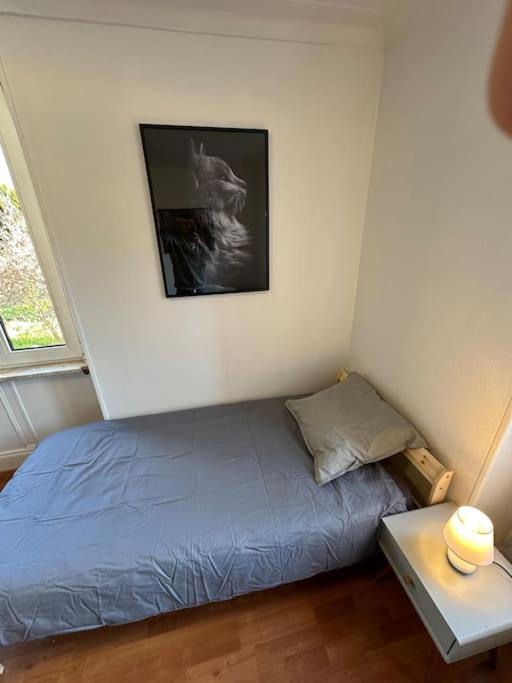 Magnifique Appartement F3. 4 A 6 Personnes Lutterbach Eksteriør billede