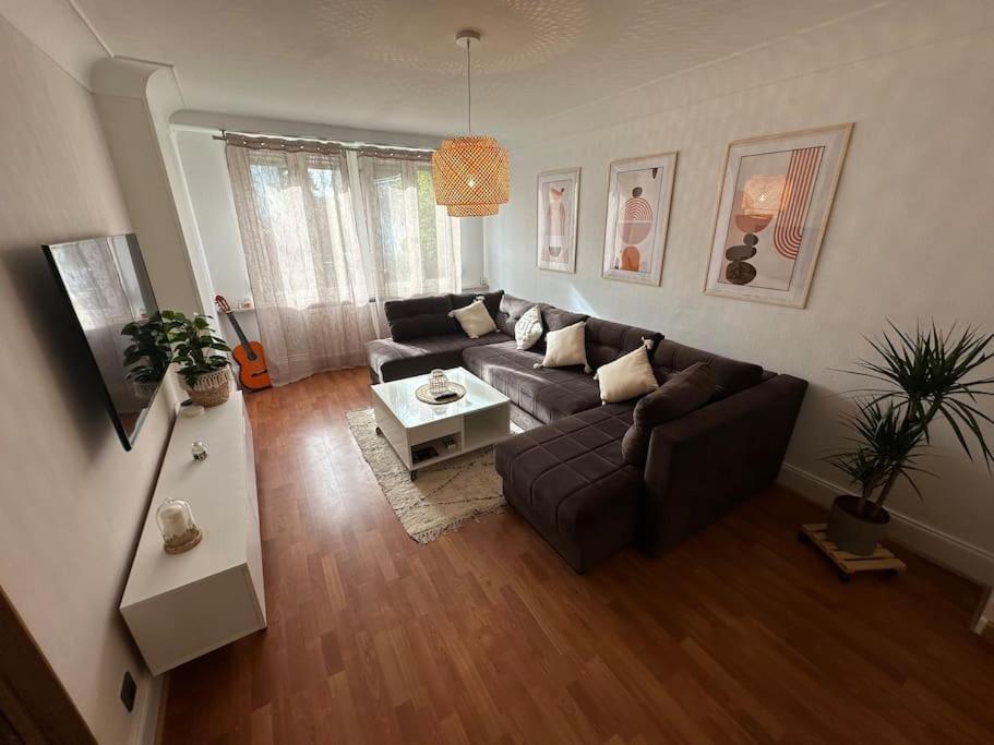 Magnifique Appartement F3. 4 A 6 Personnes Lutterbach Eksteriør billede