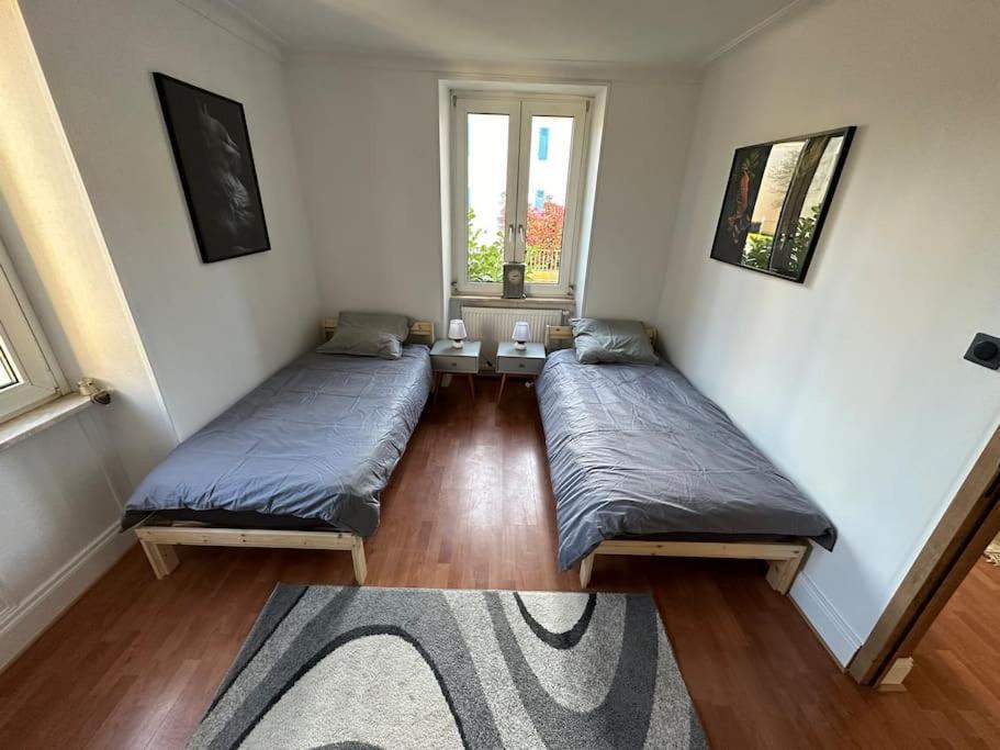 Magnifique Appartement F3. 4 A 6 Personnes Lutterbach Eksteriør billede