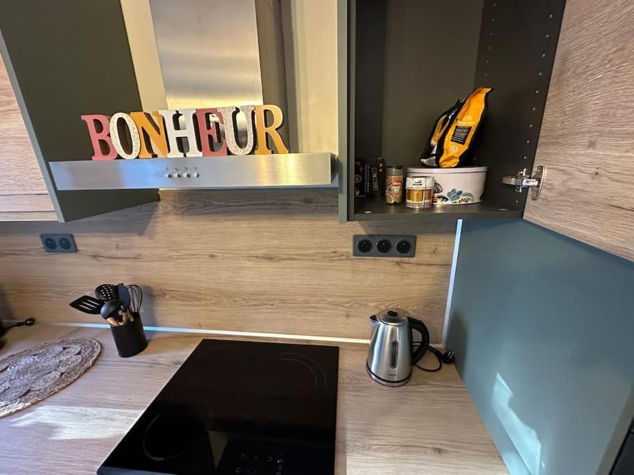 Magnifique Appartement F3. 4 A 6 Personnes Lutterbach Eksteriør billede
