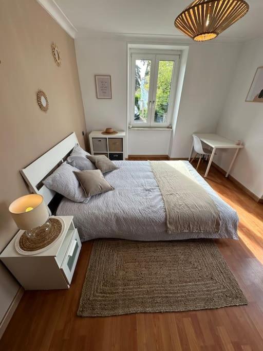 Magnifique Appartement F3. 4 A 6 Personnes Lutterbach Eksteriør billede