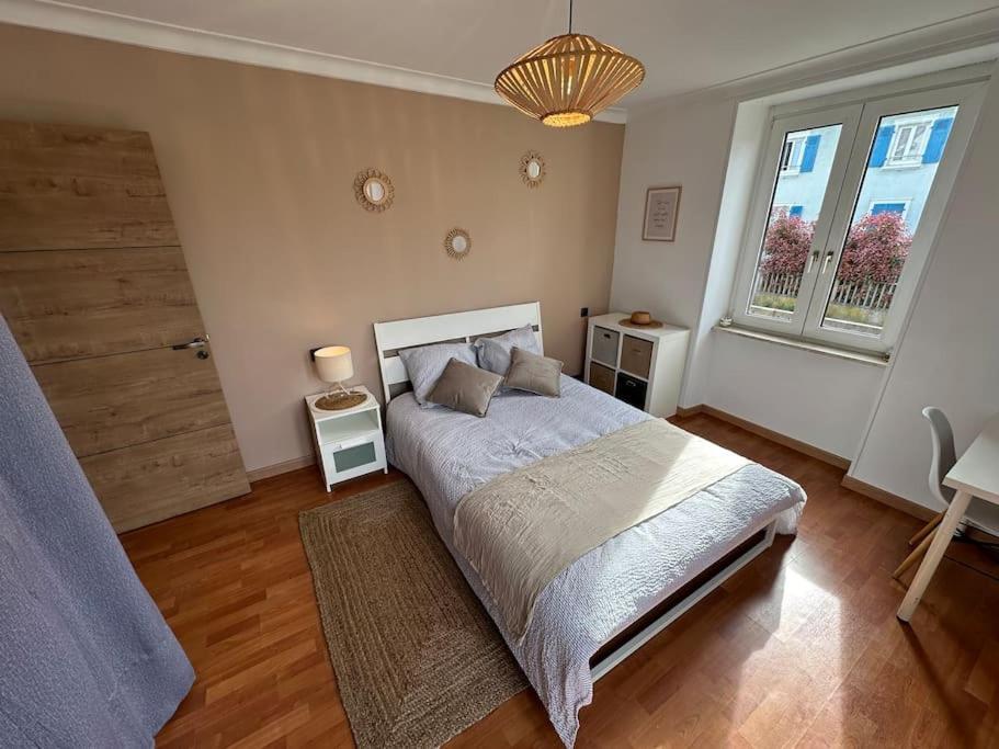 Magnifique Appartement F3. 4 A 6 Personnes Lutterbach Eksteriør billede