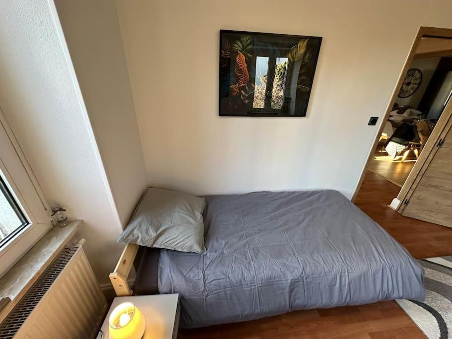 Magnifique Appartement F3. 4 A 6 Personnes Lutterbach Eksteriør billede